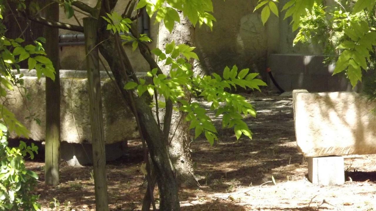 Bed and Breakfast La Bastide Cavaillon Zewnętrze zdjęcie